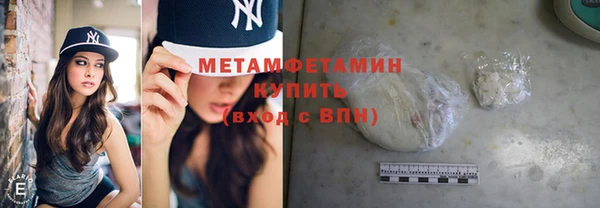гидра Калининец