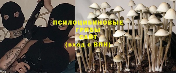 первитин Усинск