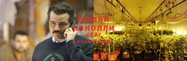 бошки Фёдоровский