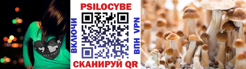 Псилоцибиновые грибы мицелий Фурманов