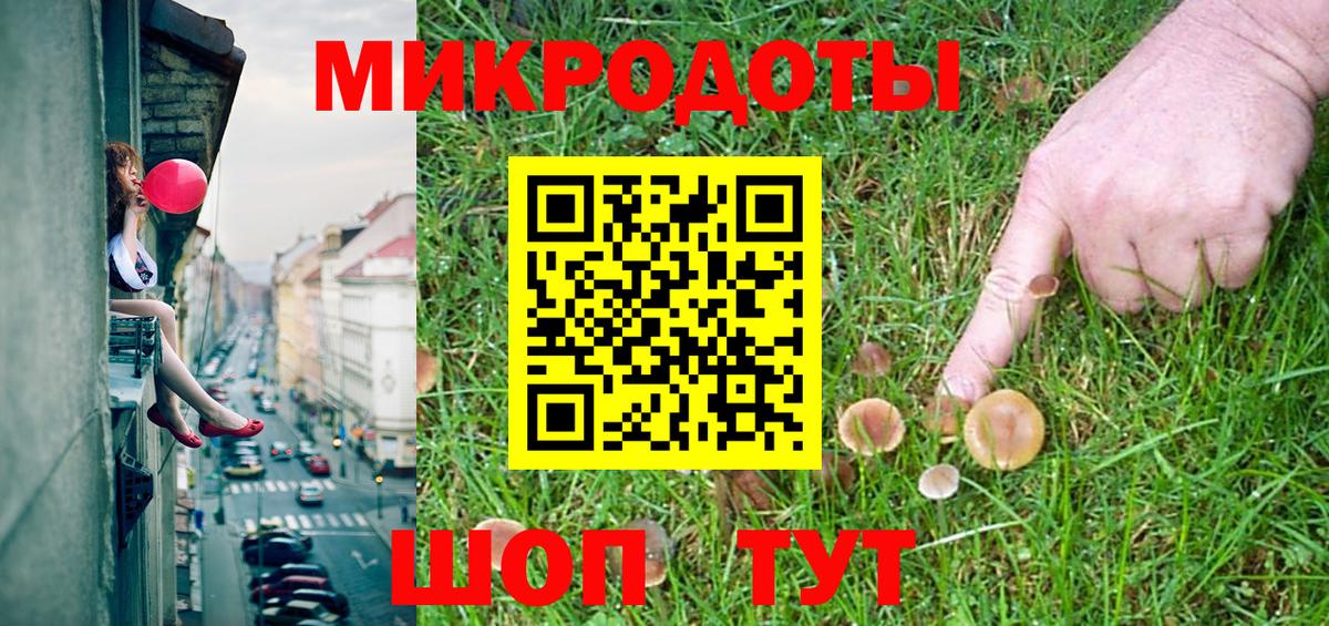 Псилоцибиновые грибы Psilocybe Фурманов